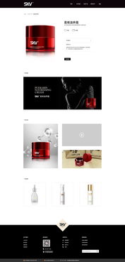 從像素到體驗(yàn) 網(wǎng)頁(yè)與網(wǎng)站設(shè)計(jì)的藝術(shù)與技術(shù)融合